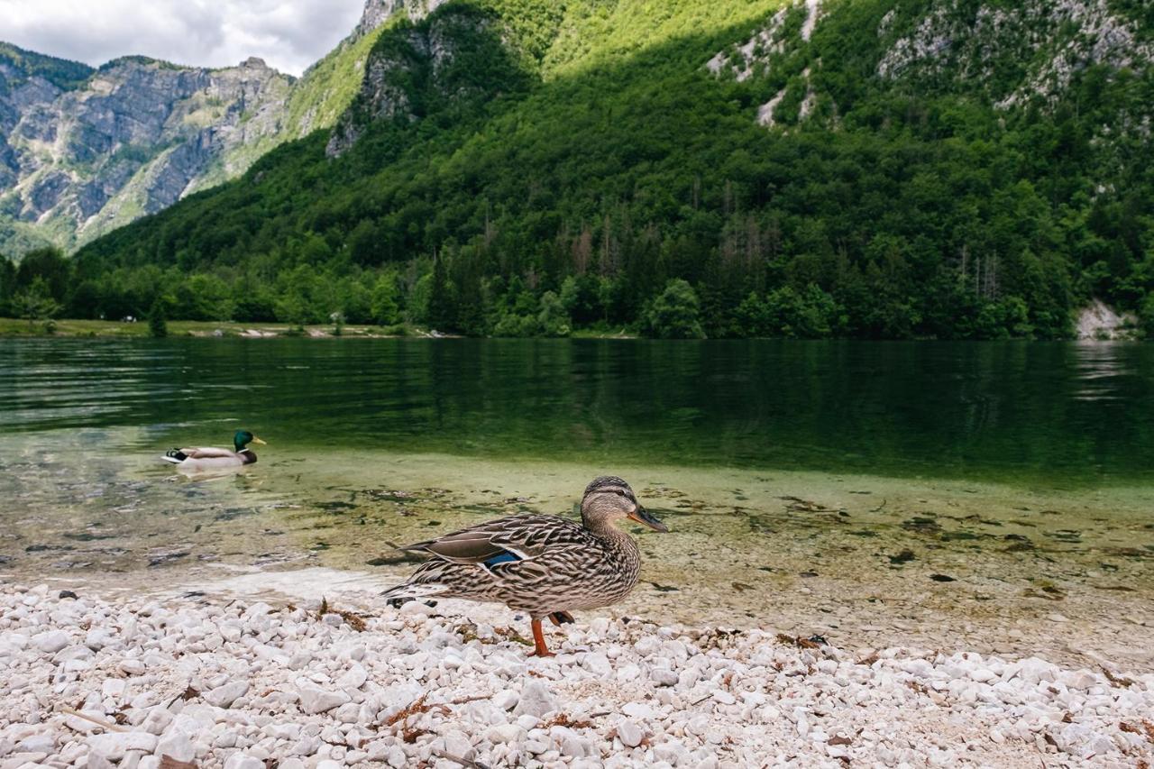 Villa Melody Bohinj ภายนอก รูปภาพ